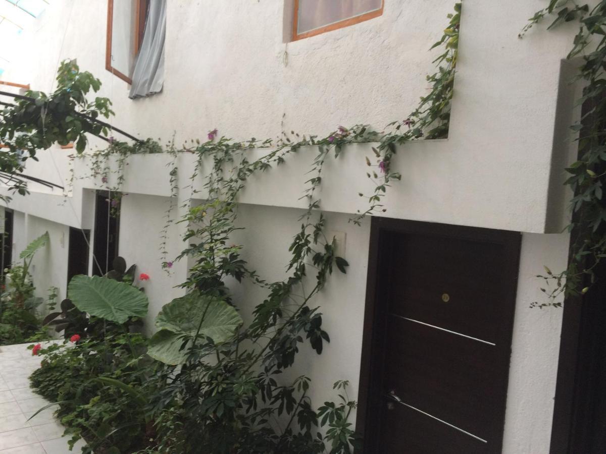 Family Hotel Belvedere Dulgopol Ngoại thất bức ảnh