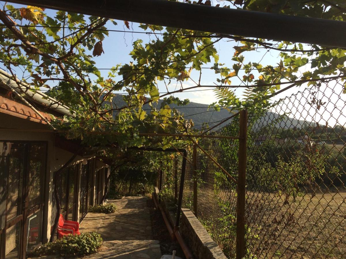 Family Hotel Belvedere Dulgopol Ngoại thất bức ảnh