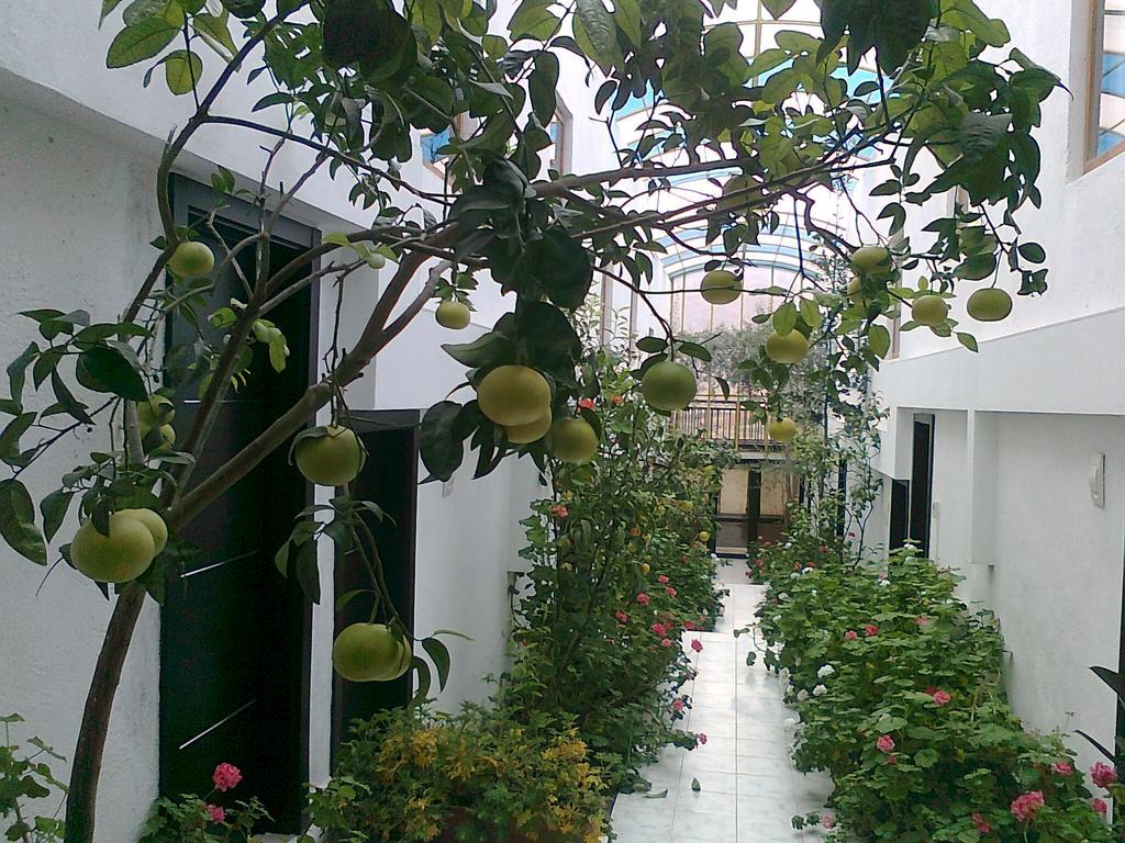 Family Hotel Belvedere Dulgopol Ngoại thất bức ảnh
