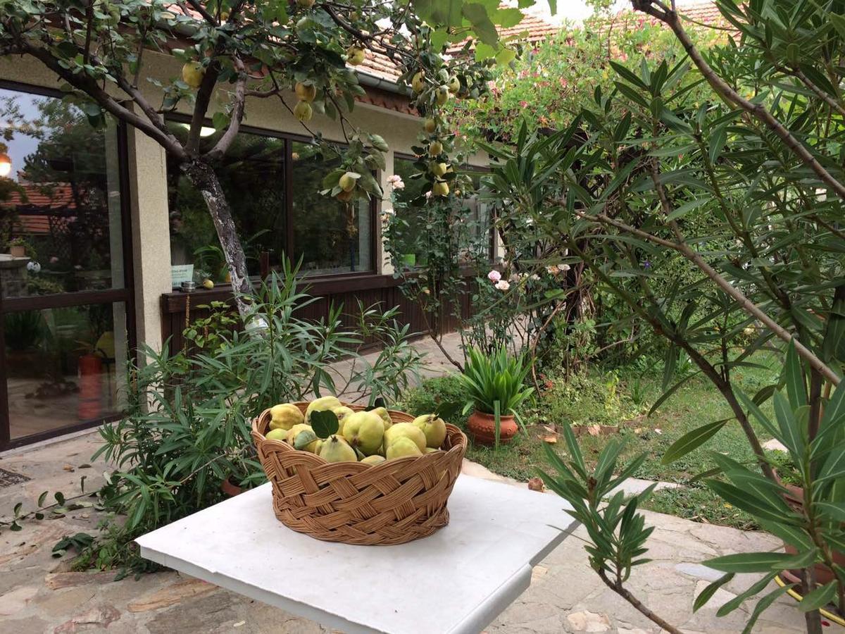 Family Hotel Belvedere Dulgopol Ngoại thất bức ảnh
