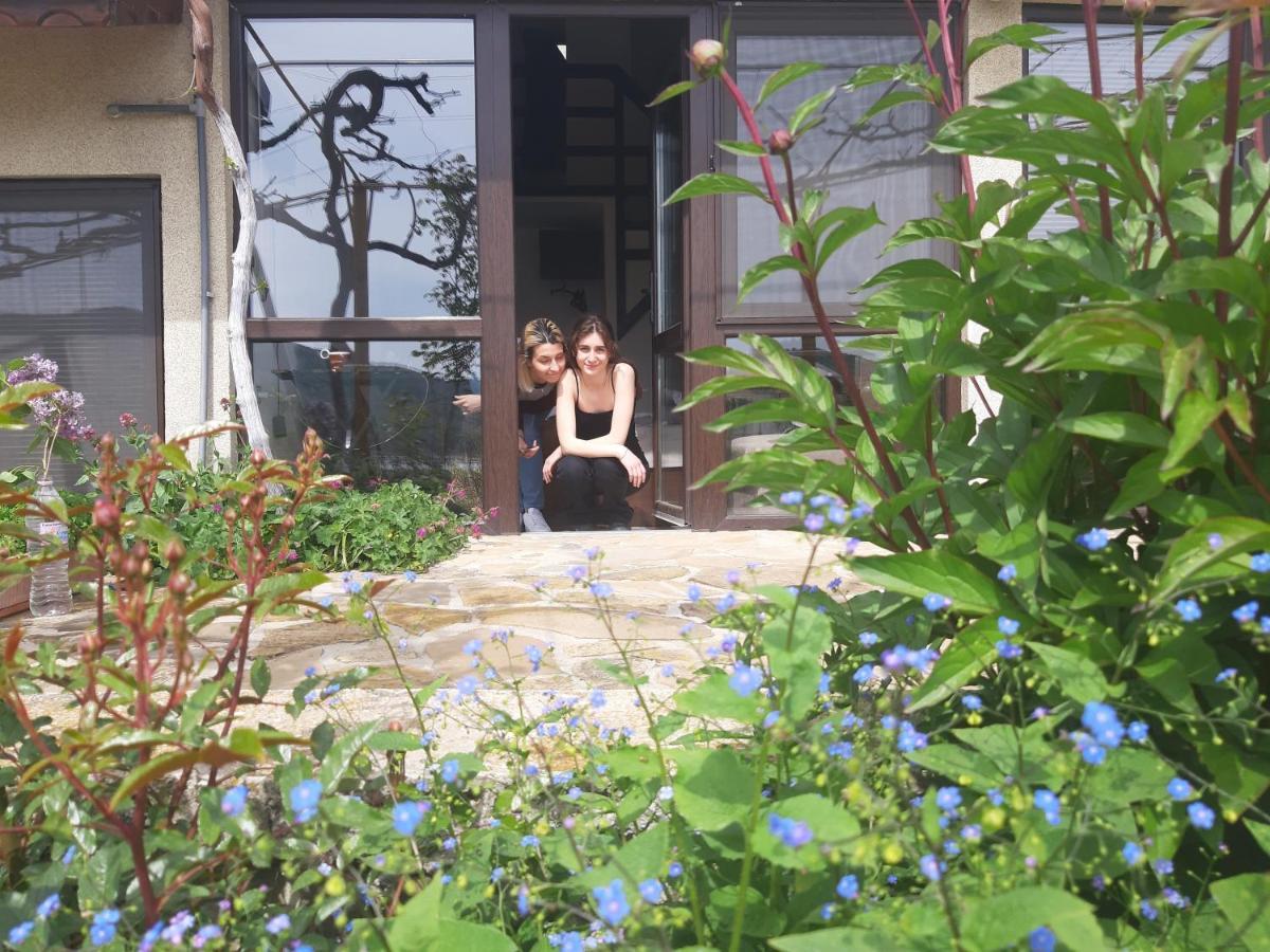 Family Hotel Belvedere Dulgopol Ngoại thất bức ảnh